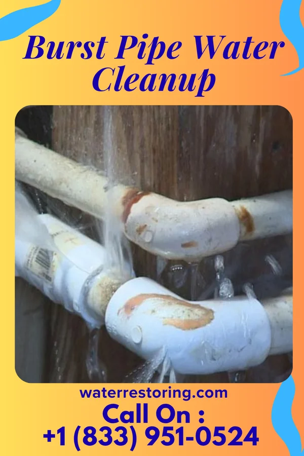 Burst Pipe Water Cleanup in Vintondale, PA
