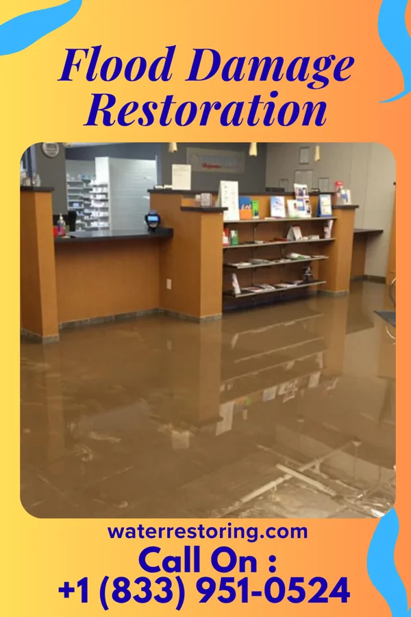 Flood Damage Restoration in Vintondale, PA