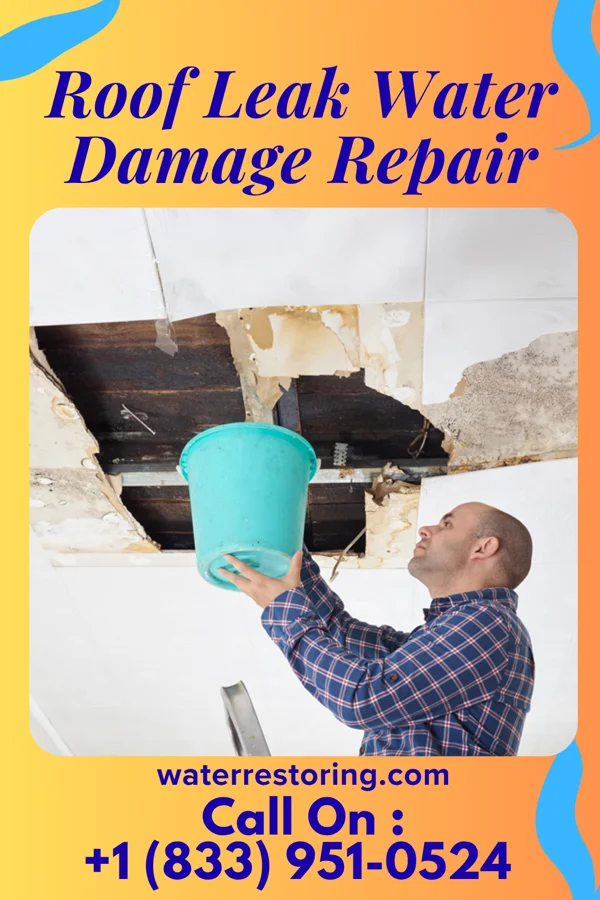 Roof Leak Water Damage Repair in Vintondale, PA