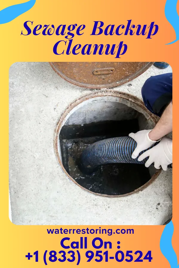 Sewage Backup Cleanup in Vintondale, PA