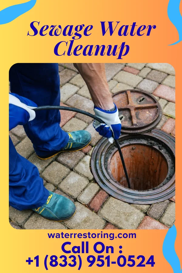 Sewage Water Cleanup in Vintondale, PA